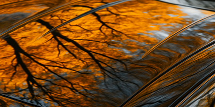 NEW! POLISHANGEL® WunderPolish™